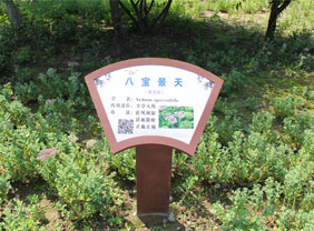 種植基地37